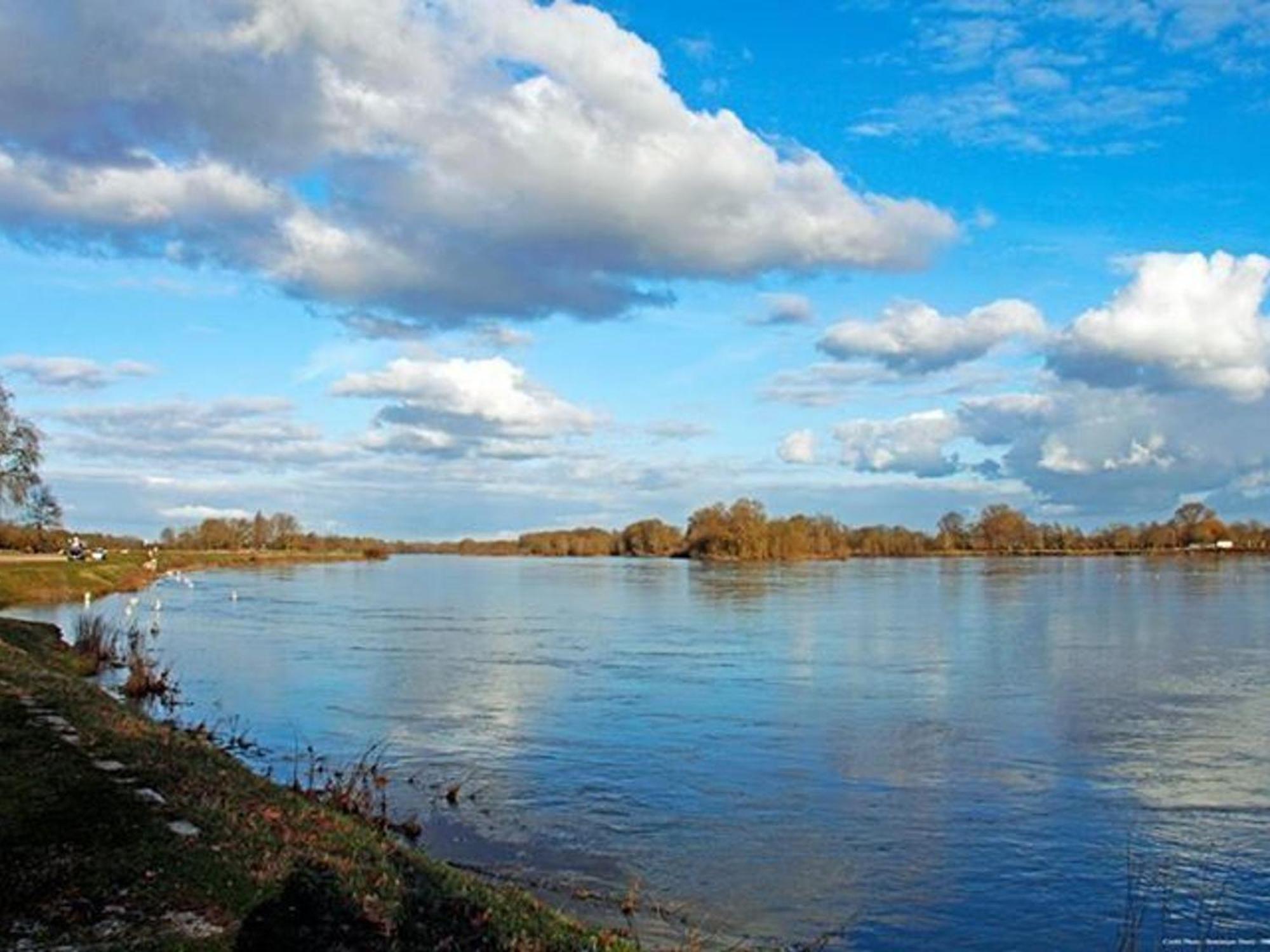 Charme Au Coeur Des Chateaux De La Loire Avec Wifi - Fr-1-590-305 Bed & Breakfast Tavers Екстериор снимка